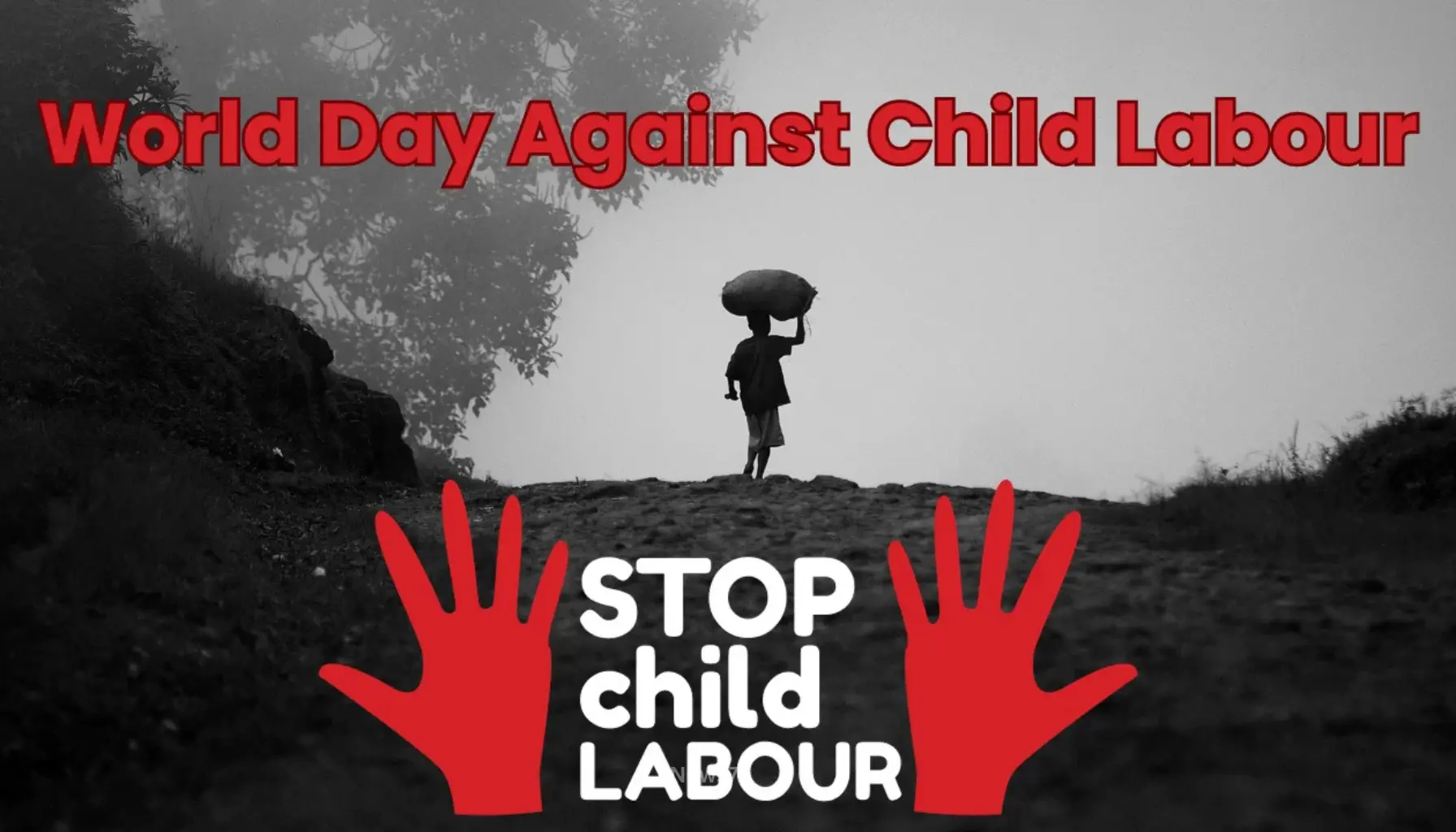 World Day Against Child Labour: Why Every Child Deserves a Safe Childhood and a Bright Future (photo 3)