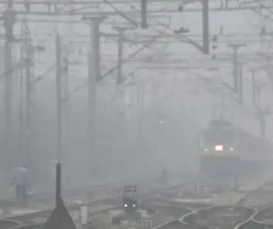 Severe Cold Wave and Dense Fog in North India (photo 2)