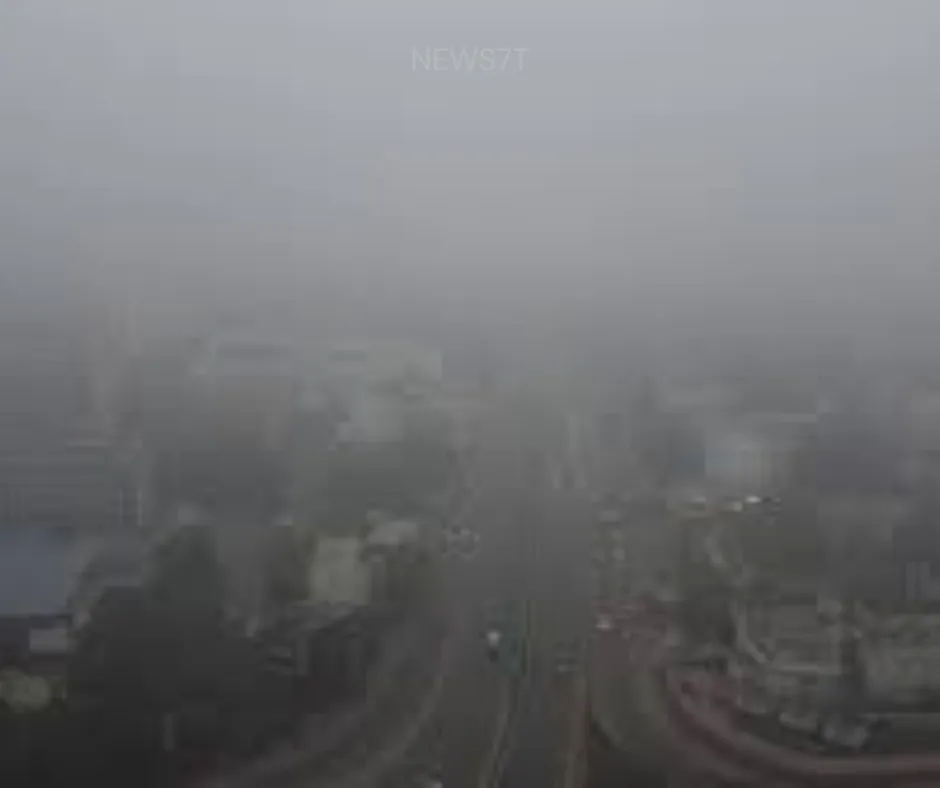 Severe Cold Wave and Dense Fog in North India (photo 4)