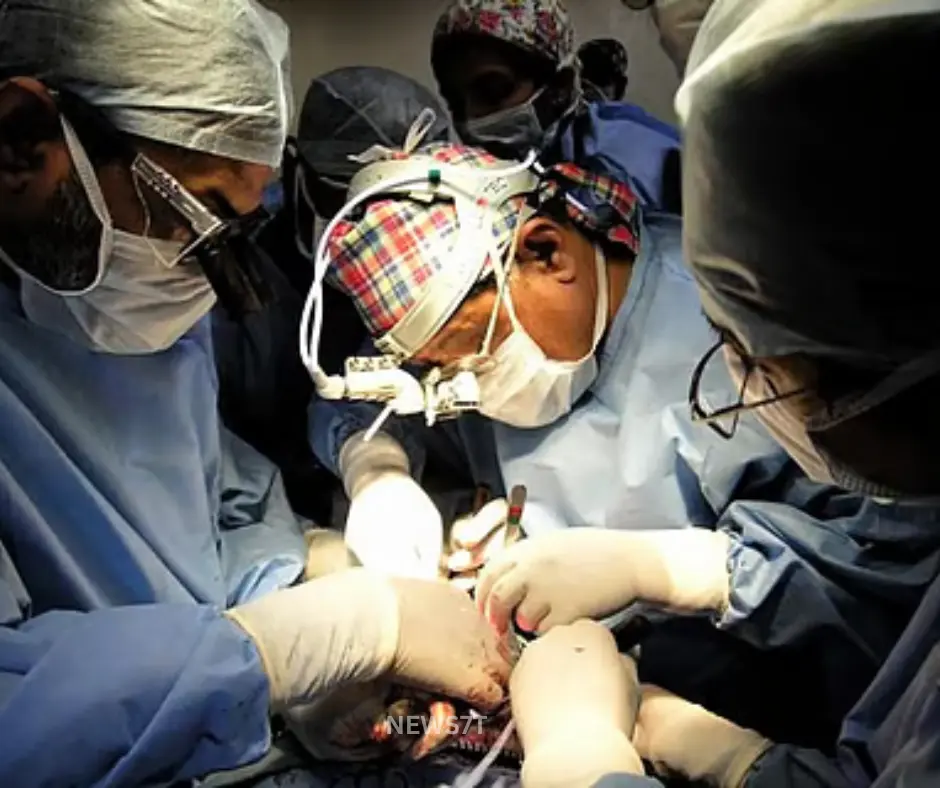 Pig Liver Xenotransplant: Chinese Doctors Pioneer a Revolutionary Yet Controversial Procedure to Extend Human Life (photo 2)