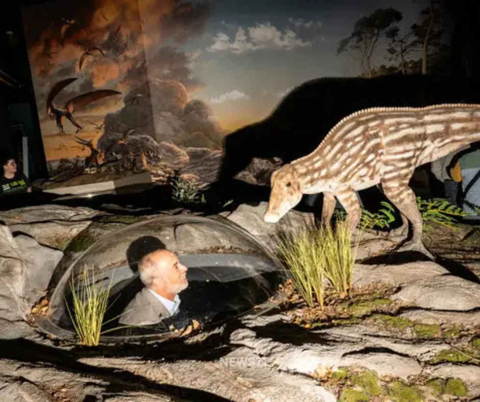 Crisis Facing the Museum of the Earth: Preserving 4 Billion Years of Planetary History (photo 3)