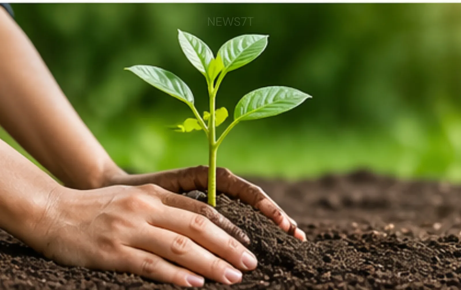 Earth Day: Importance, History, and Ways to Protect Our Planet (photo 4)