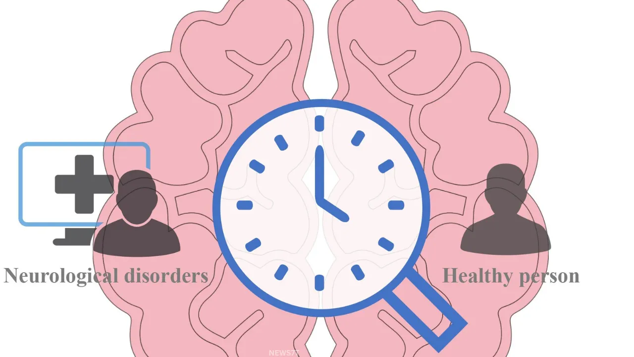Mental Illness and Brain Aging 2026: Surprising Facts About Mental Health and Brain Aging (photo 2)