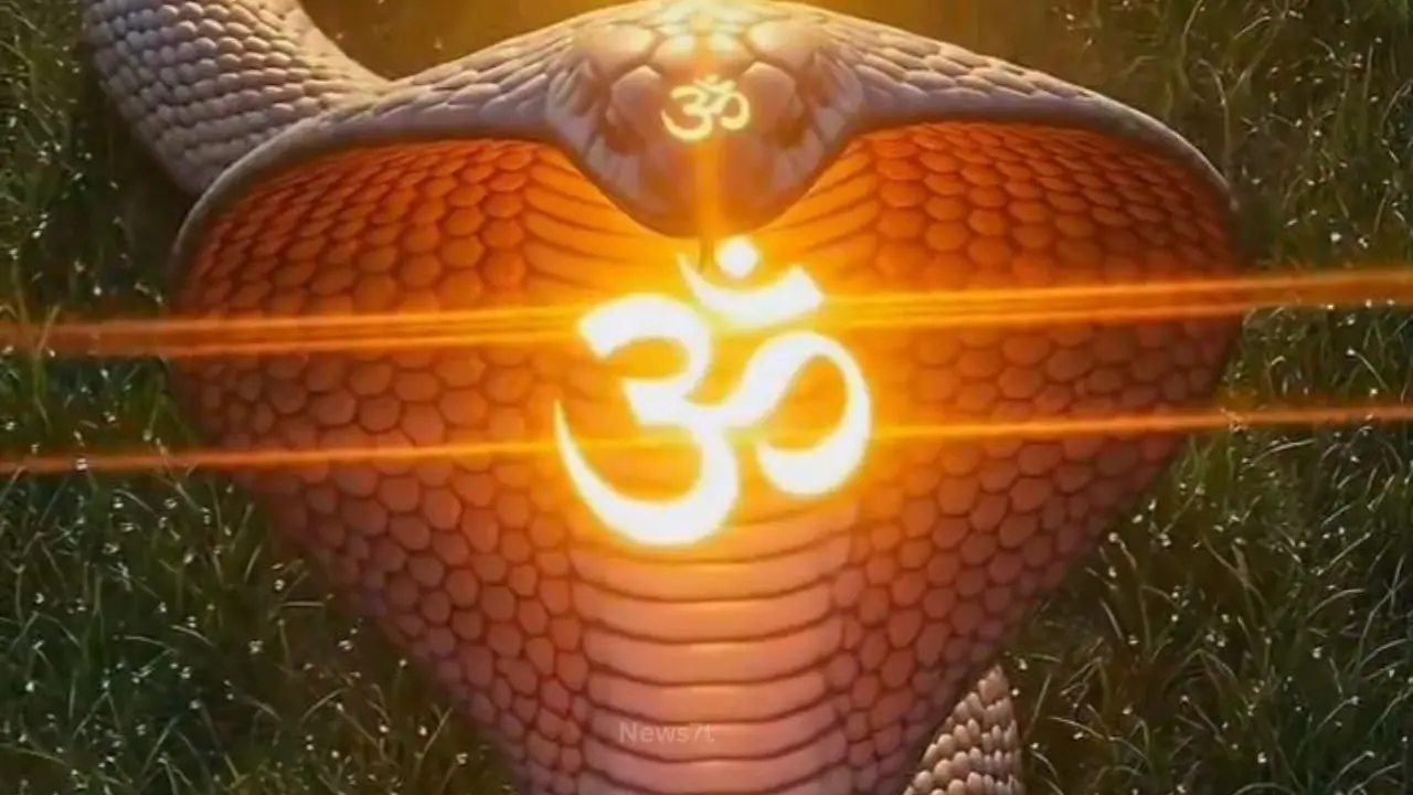 Nag Panchami 2026: Powerful Traditions, Sacred Beliefs, Hidden Mysteries & Positive Spiritual Significance (photo 4)