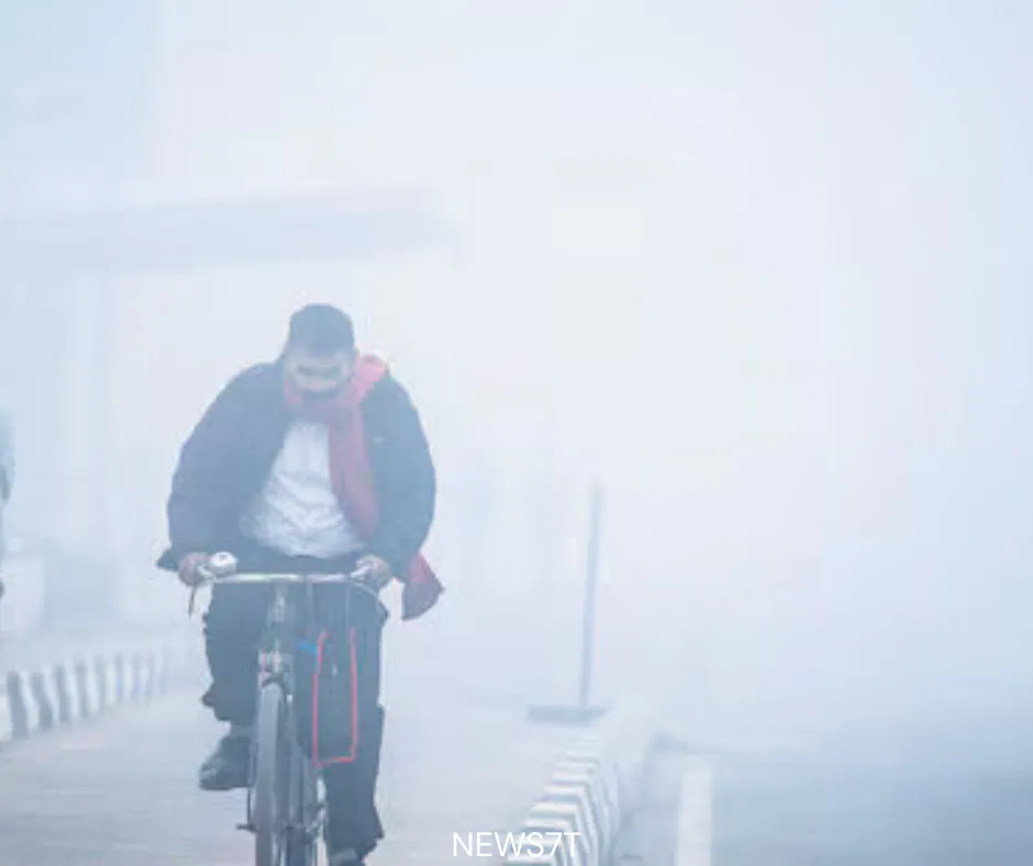 Severe Cold Wave and Dense Fog in North India
