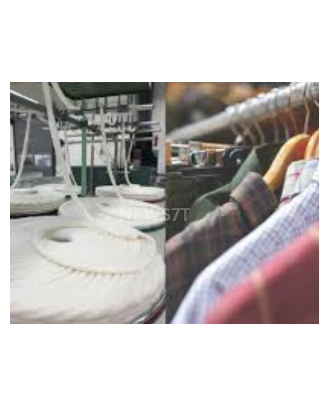World Cotton Day 2025 – Amazing Facts, History & Global Importance of Cotton (photo 3)