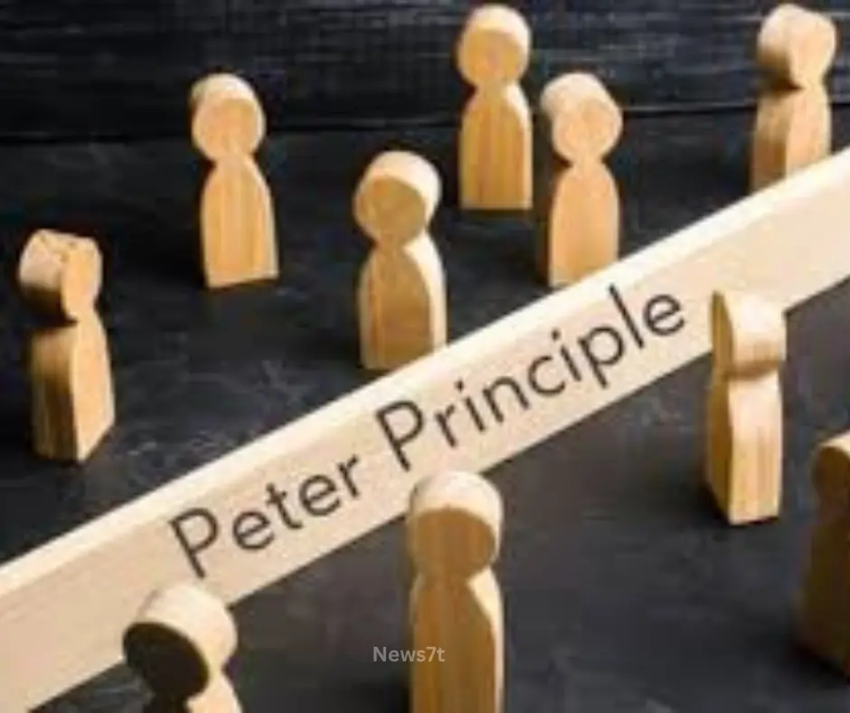 Peter Principle: Understanding Promotion, Performance, and Managerial Success (photo 4)