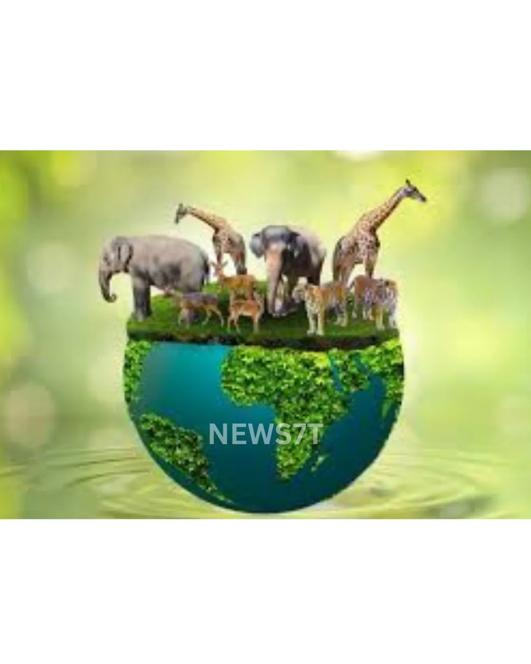 Inspiring World Animal Day: A Global Celebration of Compassion