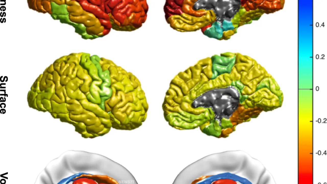 Mental Illness and Brain Aging 2026: Surprising Facts About Mental Health and Brain Aging (photo 3)