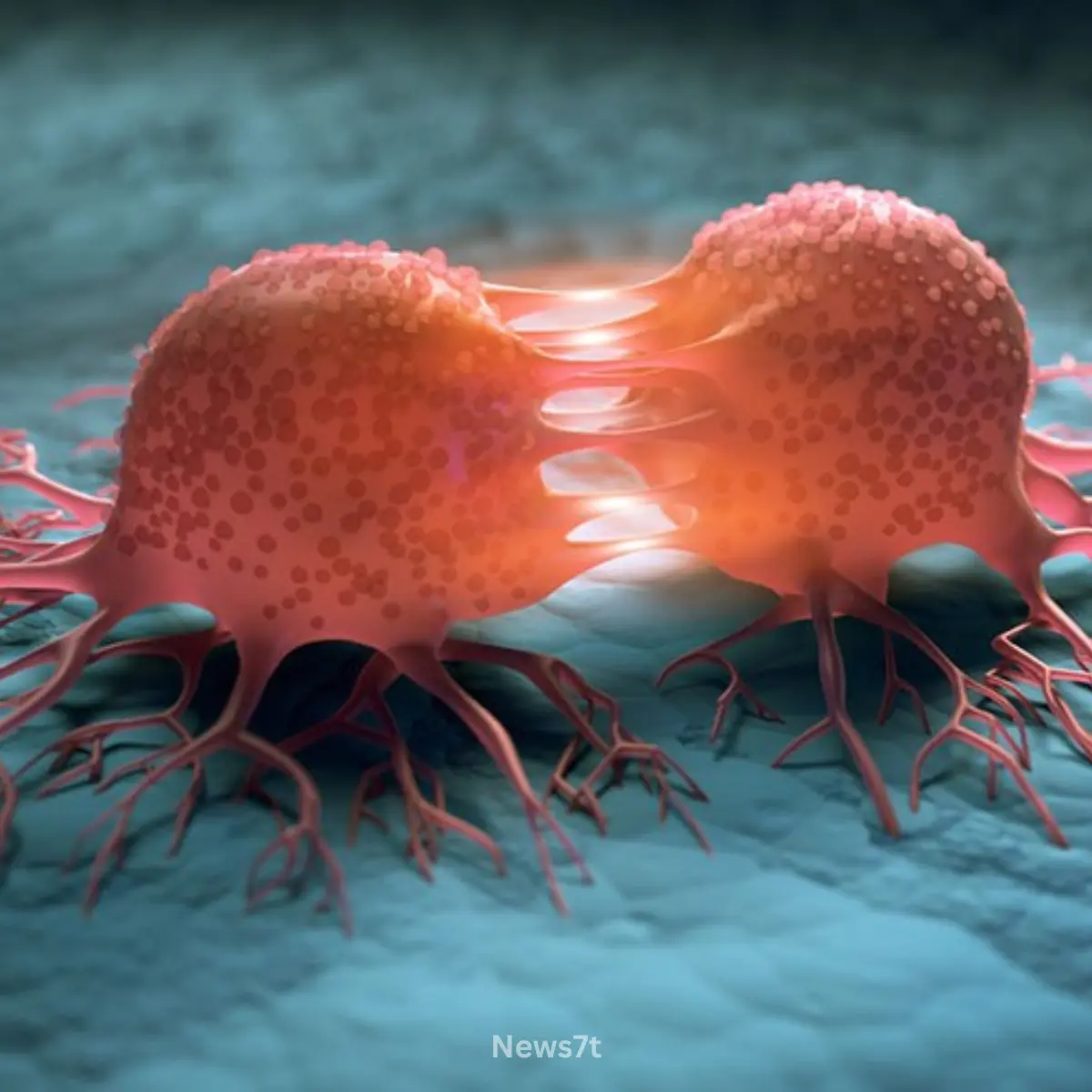Cancer Prevention from Age 21: Essential Lifestyle Habits to Reduce Cancer Risk Early (photo 3)