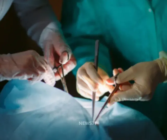 Pig Liver Xenotransplant: Chinese Doctors Pioneer a Revolutionary Yet Controversial Procedure to Extend Human Life