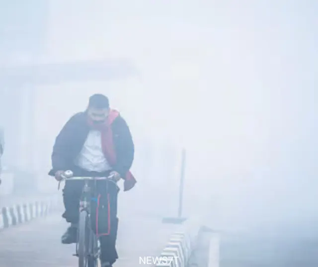 Severe Cold Wave and Dense Fog in North India