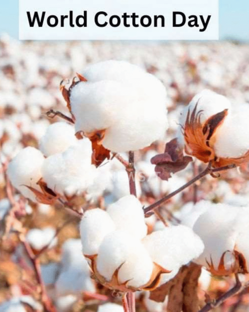 World Cotton Day
